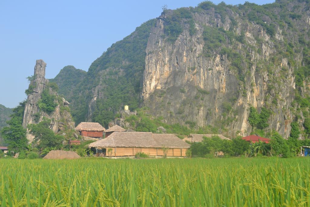 Tam Coc Homestay 宁平 外观 照片