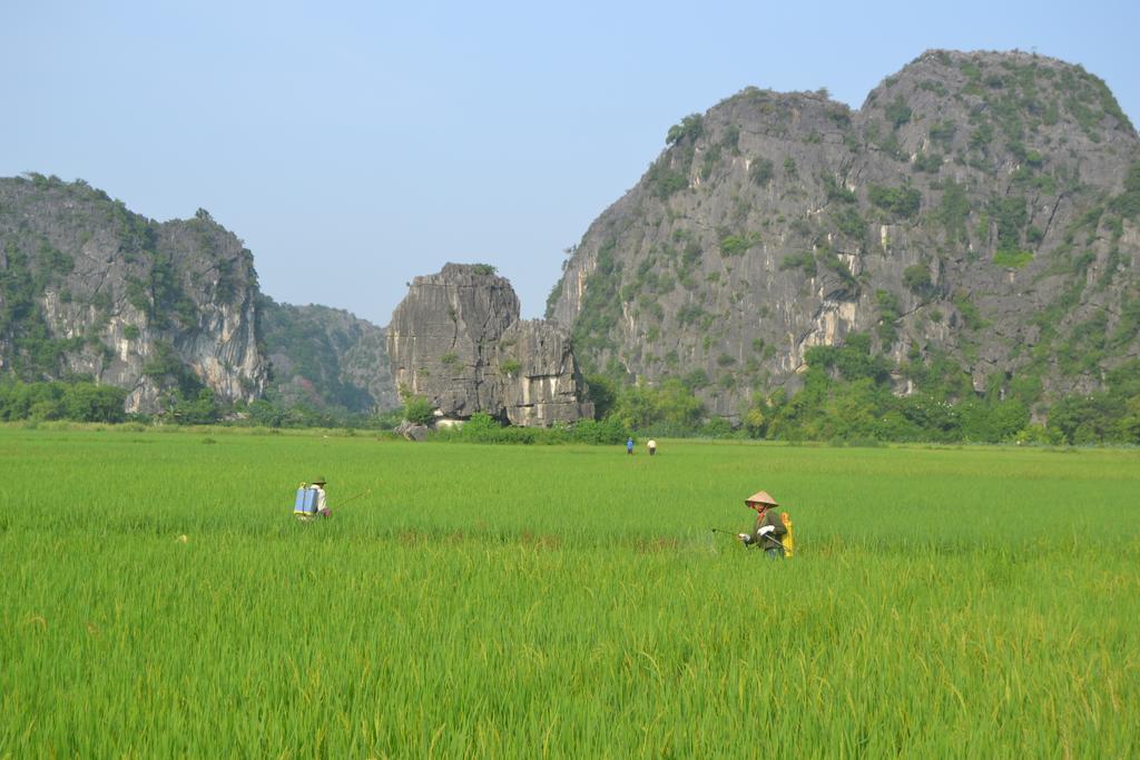 Tam Coc Homestay 宁平 外观 照片