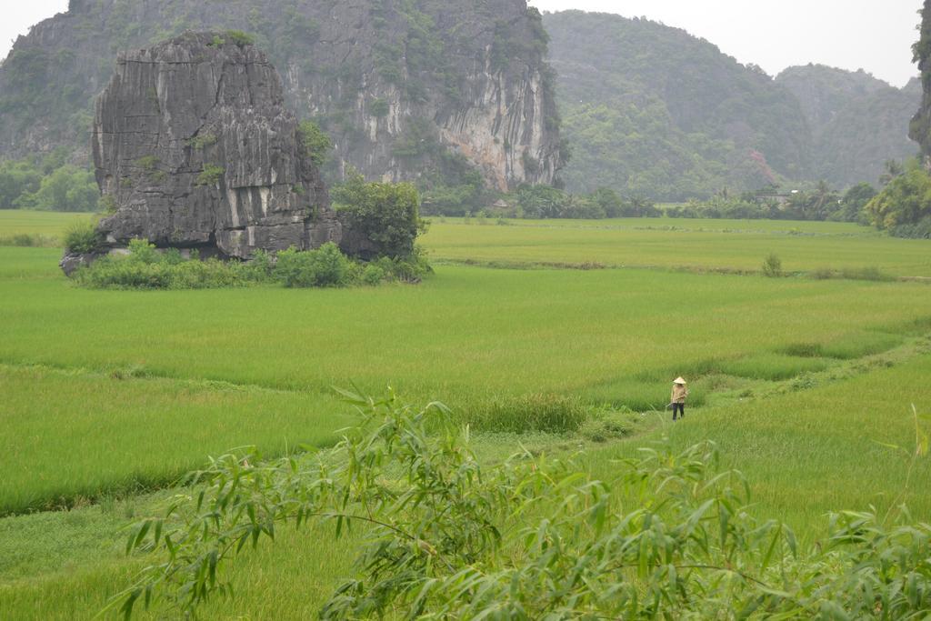 Tam Coc Homestay 宁平 外观 照片