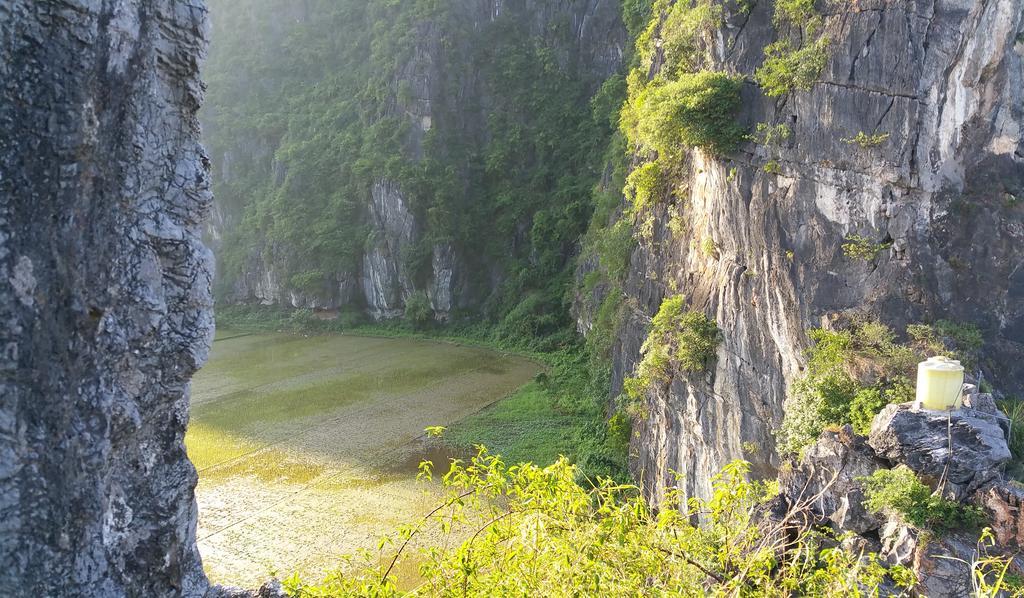 Tam Coc Homestay 宁平 外观 照片