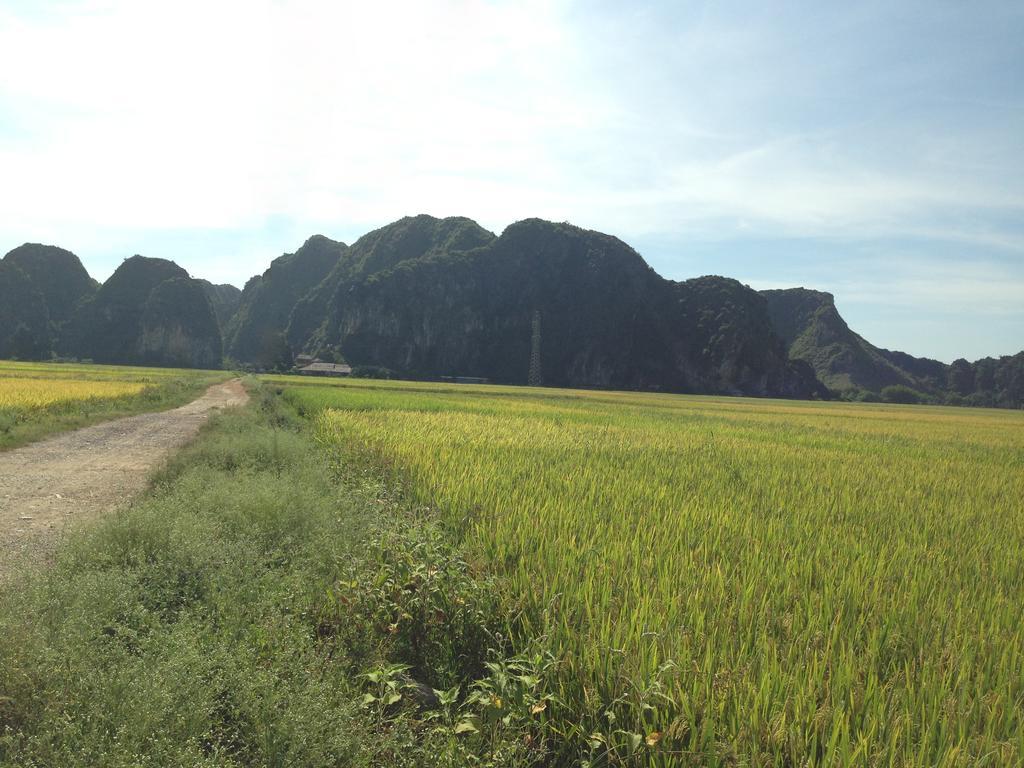 Tam Coc Homestay 宁平 外观 照片